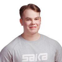 Eeti Parkkila, Automyynti, Saka